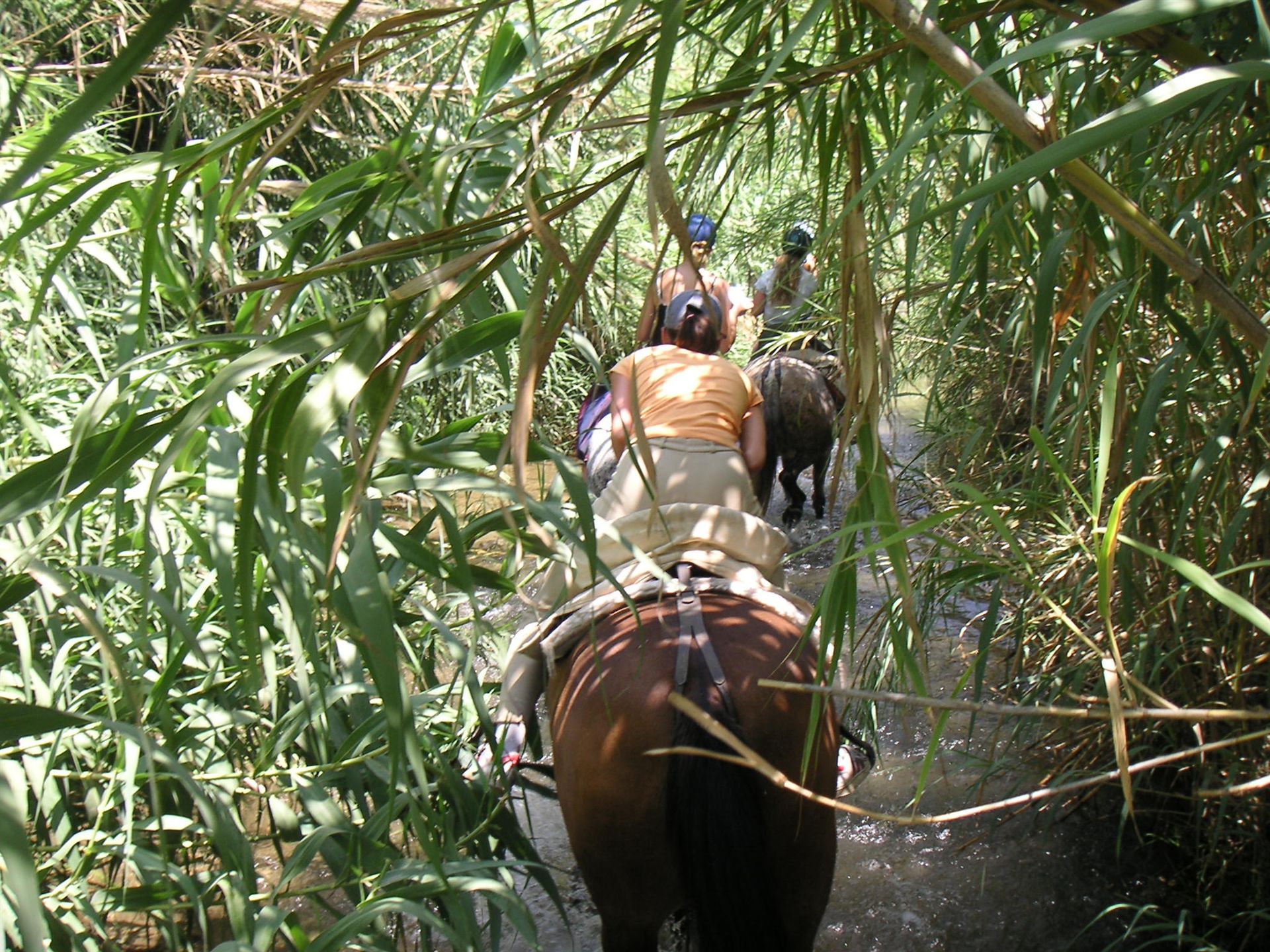 Abenteuerurlaub Outdoor Reisen Action Abenteuer weltweit
